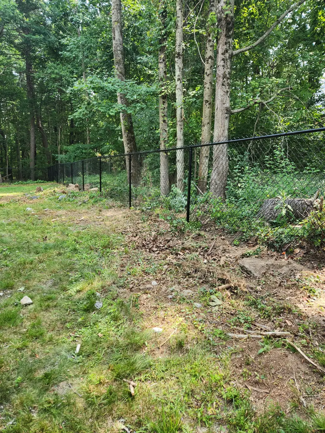 Chain Link Fence example 3