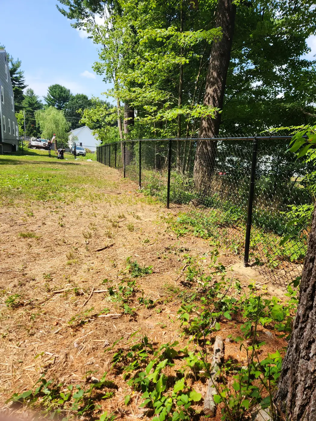 Chain Link Fence example 4